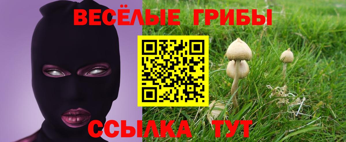 Псилоцибиновые грибы MAGIC MUSHROOMS Омск